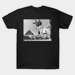 Camel Sphinx and Pyramid T-Shirt